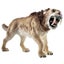 Loading Image 1 of 1