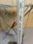 Picnic or trout fishing , concerts portable seats Carousel 5