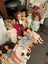 Huge Doll Collection - must take all (400+ dolls) Carousel 13