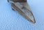 Absolute quality heavy old cutters or maybe tin snips Carousel 9