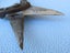 Absolute quality heavy old cutters or maybe tin snips Carousel 11