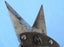 Absolute quality heavy old cutters or maybe tin snips Carousel 13