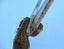 Absolute quality heavy old cutters or maybe tin snips Carousel 14