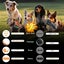 New Anti Bark Dog Trainer on Afterpay Carousel 5