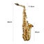 Melodic Saxophone Sax Eb Be Alto E Flat Brass w/ Mouthpiece for Student Beginner Carousel 2