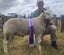 Rams for Lease Carousel 8
