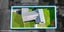 gallery view thumbnail