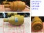 Digger Carrier Roller for CAT/Volvo/Hitachi /IHI/Kubota/Komatsu /Kobelco/Yanmar Carousel 3