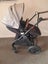 Baccani pletora plus pram Carousel 2