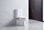 High Quality Ceramic Back to Wall Rimless Toilet Carousel 1