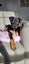 Kora (Ellie's Canine Rescue & Rehome) Carousel 1