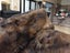 New KING Blanket Natural Brown Real NZ Possum Full Fur Throw - No Reserve! B6523 Carousel 4