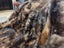 New KING Blanket Natural Brown Real NZ Possum Full Fur Throw - No Reserve! B6523 Carousel 6