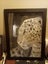 Leopard Carousel 4