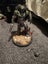 Doom The Dark Ages Collectors Edition PS5 Carousel 1