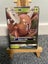 Pinsir GX Hidden Fates Carousel 1