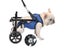 Dog Wheelchair Disabled Cat Dog Walker Cart Pet Hind Limb Paralysis Injury Carousel 4