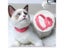 Pet Dog Cat Collar Anti Flea Mite Lice Insecticide Mosquito Outdoor Adjustable Carousel 4