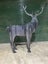 Majestic Metal Stag Sculpture Carousel 4