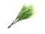 Loading Image 1 of 9