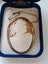 Cameo Brooch Carousel 1