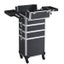 5-In-1 Rolling Cosmetic Cases Carousel 5