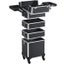 5-In-1 Rolling Cosmetic Cases Carousel 6