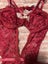 Sexy Stunning Red Lace Teddy Bodysuit - Size: XS (PING/AFTERPAY) Carousel 6