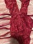 Sexy Stunning Red Lace Teddy Bodysuit - Size: XS (PING/AFTERPAY) Carousel 8