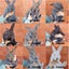 Flemish giant babies Carousel 1