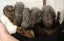 Flemish giant babies Carousel 8
