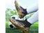 FG/TF Men Football Boot Turf Training Futsal Hall Soccer Shoes Outdoor Carousel 8