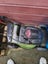 Loading Image 7 of 7