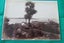 A fine Vintage "Burton Bros" Photo " Ohinemutu" Carousel 1