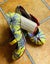 Irregular Choice, Matinee heels, size 5 (36) NEVER WORN, AS NEW Carousel 6