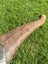 Vintage John Riley England regd stamped Kent axe / hatchet (cracked) Carousel 13