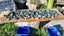 Greenstone peices Carousel 3