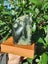 Southwestland NZ Pounamu touchstone Matai Base Carousel 4