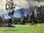 3m Solid Rata Slab – Natural NZ Beauty Carousel 14