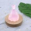 Wedding Dress Resin Mould Silicone Candle Soap Cake Topper Mold Carousel 2