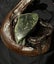 Greenstone Carousel 4