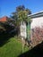 Prunus lusitanica - Portuguese Laurel Standard 1.8m Carousel 1