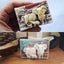 Silicone Mould Elephant Soap Mold Carousel 12