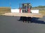 VITEX DECKING - SECONDS - 115 x 19mm - 161m - TS7989 Carousel 5