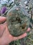 Nz Pounamu hokitika beach find #6 Carousel 1