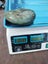 Nz Pounamu hokitika beach find #6 Carousel 4