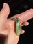 Greenstone pounamu Marsden flower jade curved pendant - breast plate Carousel 2