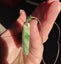 Greenstone pounamu Marsden flower jade curved pendant - breast plate Carousel 4