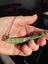 Greenstone pounamu Marsden flower jade curved pendant - breast plate Carousel 8