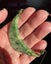 Greenstone pounamu Marsden flower jade curved pendant - breast plate Carousel 7